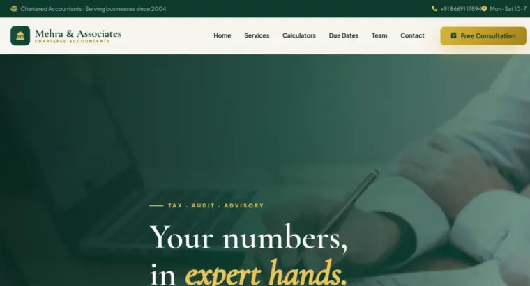 CA Firm Website Design demo