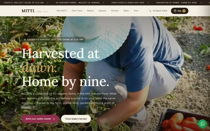 Grocery Store Website Design demo