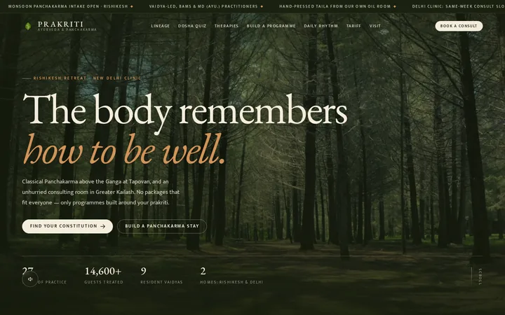 PRAKRITI demo website &mdash; screenshot of the live site