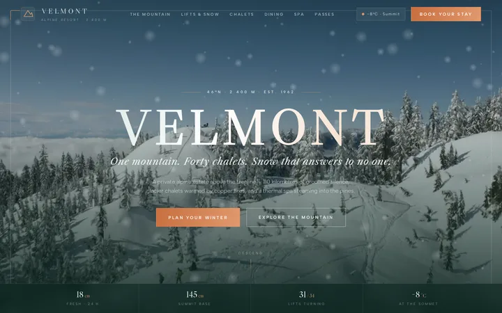 VELMONT demo website screenshot